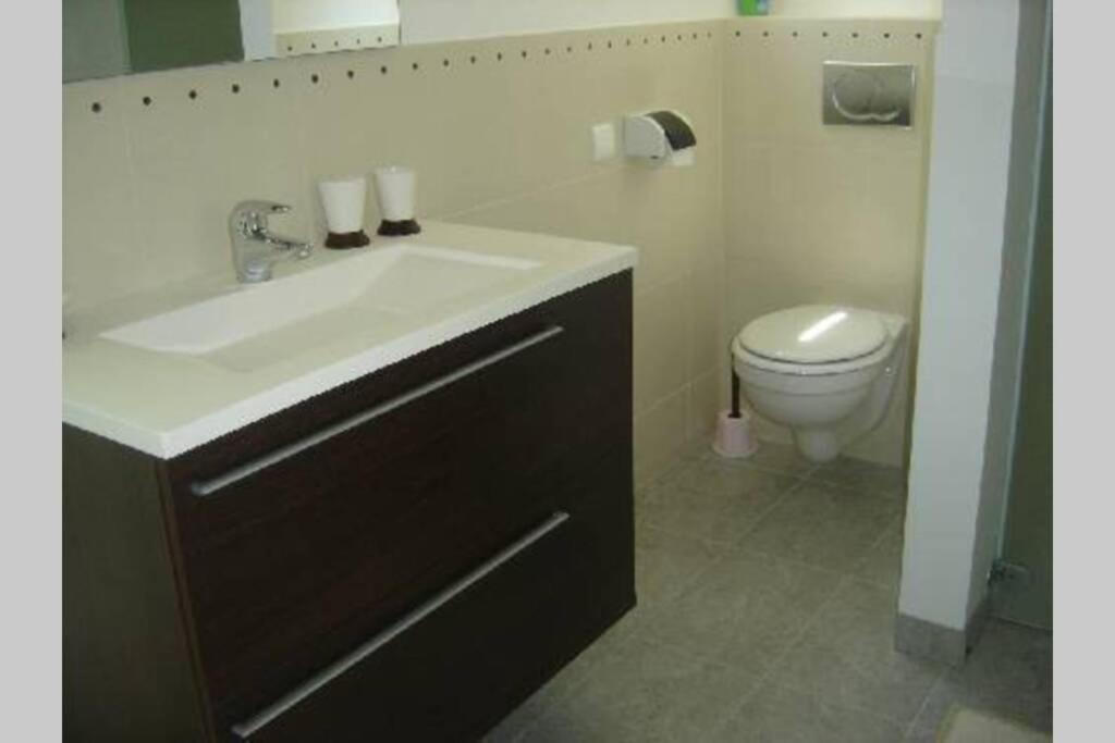 Apartment L'annexe